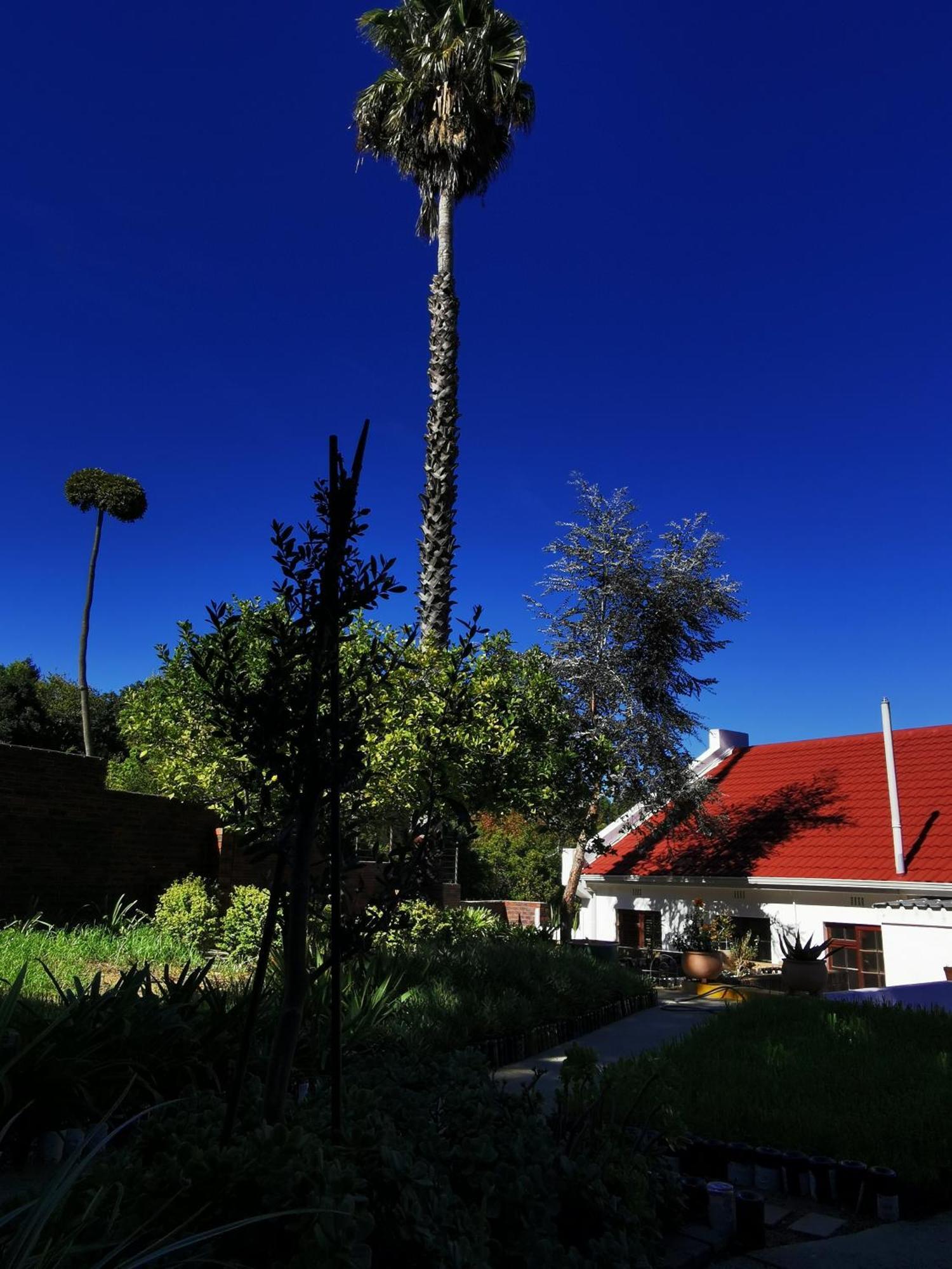 Somerset Grace Cottage Somerset West Exteriér fotografie